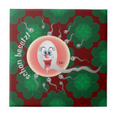 schon besetzt Fliese タイル (正面)