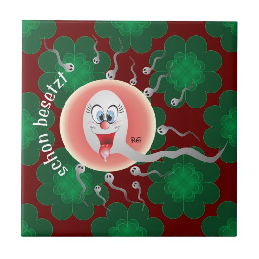 schon besetzt Fliese タイル (正面)