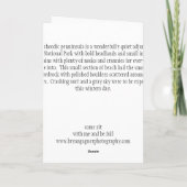 Schoodicの海岸の写真カード カード (裏面)