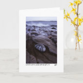 Schoodicの海岸の写真カード カード (黄色い花)