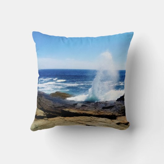 Schoodic Point クッション (裏面)