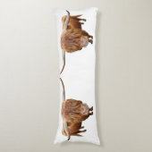 Schottisches Hochlandrind ボディピロー (正面縦)