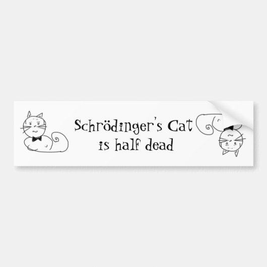 Schrödingerの猫 バンパーステッカー (正面)