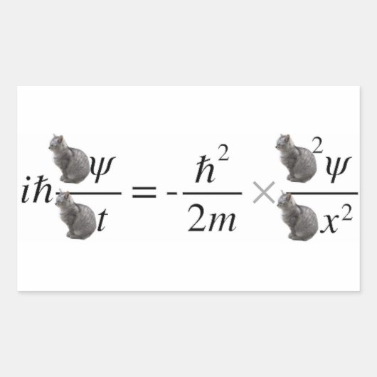 Schrodinger's cat 長方形シール (正面)