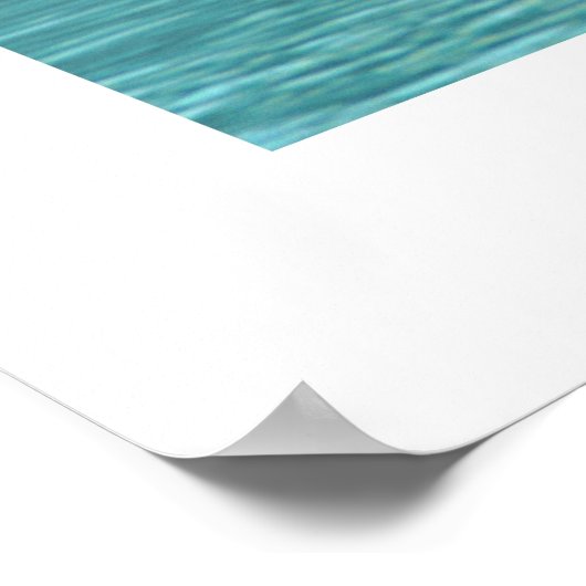 Schwanenfamilie ポスター (角)