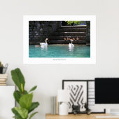 Schwanenfamilie ポスター (ホームオフィス)