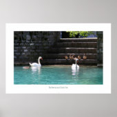 Schwanenfamilie ポスター (正面)