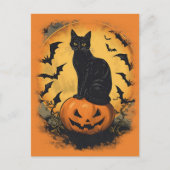 Schwarze Katze auf Halloween-Kürbis ポストカード (正面)