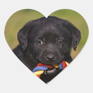 schwarzer Hund Labrador Retriever Welpe Sticker ハートシール