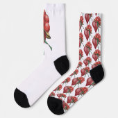 Schwarzwaldliebe ソックス (左)