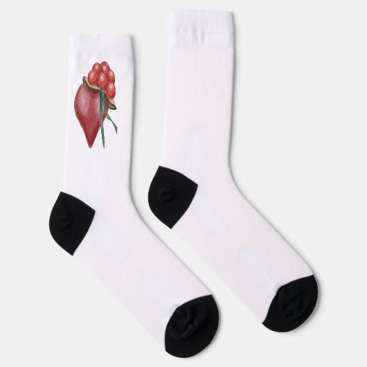 Schwarzwaldliebe ソックス (右)