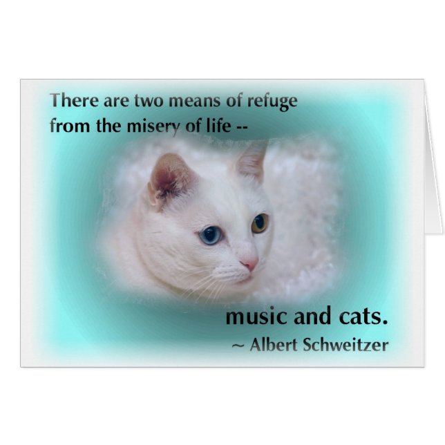 Schweitzerの猫 (正面横)