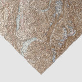 Schweizのスイス連邦共和国の地図書の地図は死にます 薄葉紙 (詳細)