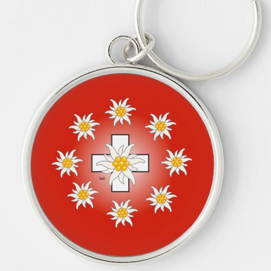 Schweiz Suisse Svizzera Svizra Schlüsselanhänger キーホルダー (正面)