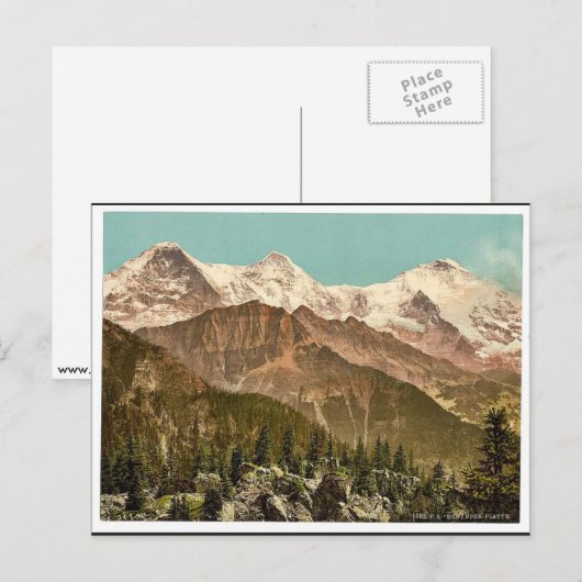 Schynige Platte、Eigher、Monch、Jungfrau、Bernes ポストカード (正面/裏面)