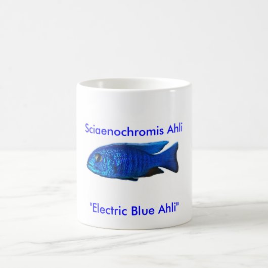 Sciaenochromis Ahli、 コーヒーマグカップ (中央)
