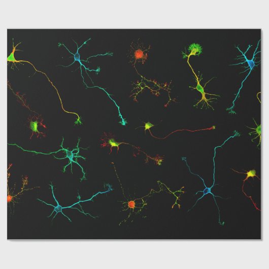 science ラッピングペーパー (フラット)