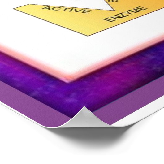 Science, Digestion, Enzymes at work ポスター (角)