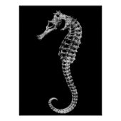 Scientific Seahorse Skeleton Poster ポスター (正面)
