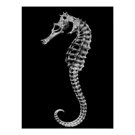 Scientific Seahorse Skeleton Poster ポスター (正面)