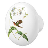 Scintillantハチドリ セラミックノブ (右)