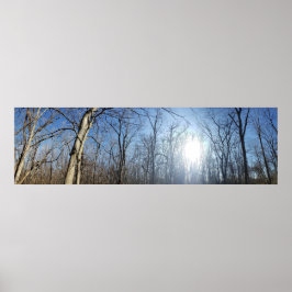 Scioto Grove Metro Park, グローブシティ、オハイオ州 ポスター