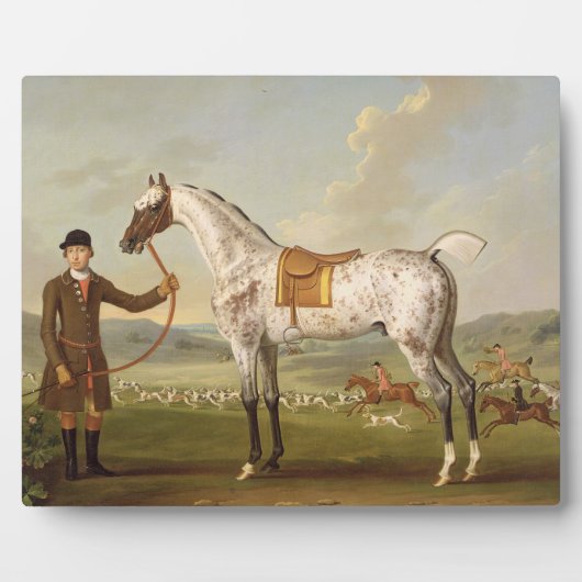 Scipio、Roche大佐のSpotted Hunter、c.1750(大井) フォトプラーク (正面)