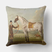 Scipio、Roche's Spotted Hunter、c.1750 (oiの大佐の クッション (裏面)