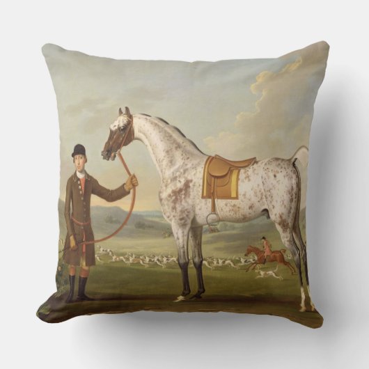Scipio、Roche's Spotted Hunter、c.1750 (oiの大佐の クッション (正面)