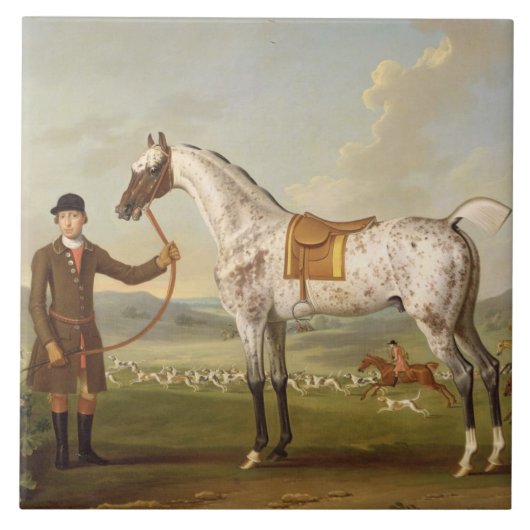 Scipio、Roche's Spotted Hunter、c.1750 (oiの大佐の タイル (正面)