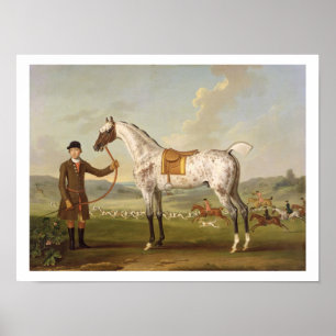 Scipio、Roche's Spotted Hunter、c.1750 (oiの大佐の ポスター