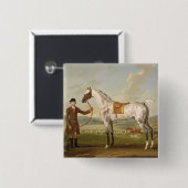 Scipio、Roche's Spotted Hunter、c.1750 (oiの大佐の 缶バッジ (正面&裏面)