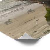 Sciurumimus Print ポスター (角)