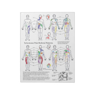 Sclerotome痛み紹介配布資料メモ帳 ノートパッド