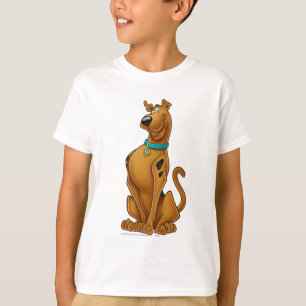 Scooby-Dooのエアブラシの姿勢 Tシャツ