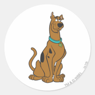 Scooby-Dooの子犬の目 ラウンドシール