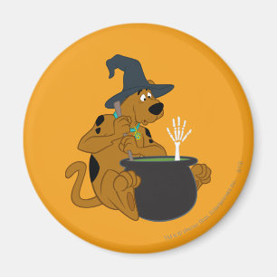Scooby-Dooの魔法使いの大がま マグネット