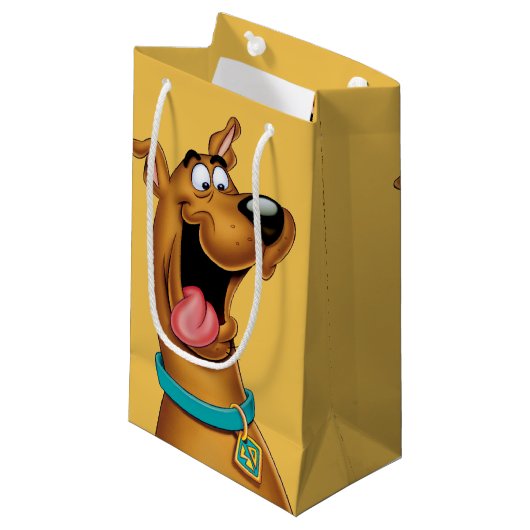Scooby-Dooは顔を刺激しました スモールペーパーバッグ (正面アングル)