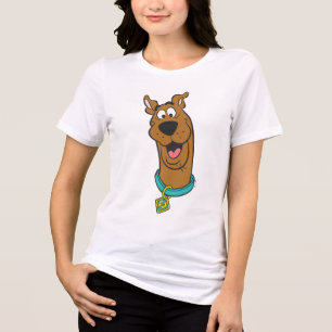 Scooby-Doo Smiling Face トライブレンドＴシャツ