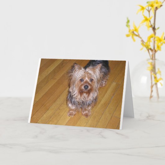 SCOOTA カード (黄色い花)