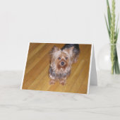 SCOOTA カード (正面)