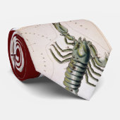 Scopio ネクタイ (ロール)