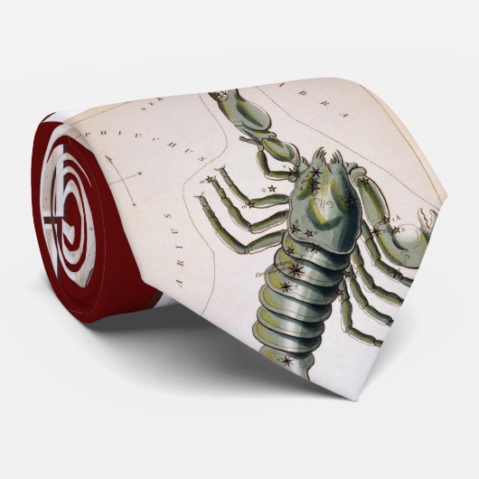 Scopio ネクタイ (ロール)