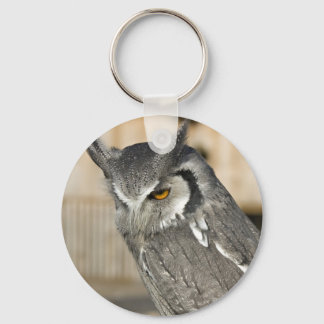 Scops Owl Keychain キーホルダー