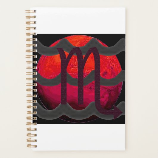 Scorpio  プランナー手帳 (正面)