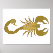 Scorpion ポスター (正面)