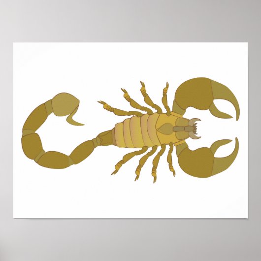 Scorpion ポスター (正面)
