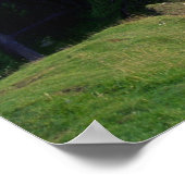 Scotland, Aberdeen. Dunnotar Castle. ポスター (角)