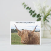SCOTLANDPOSTCARD.jpg ポストカード (スタンド正面)
