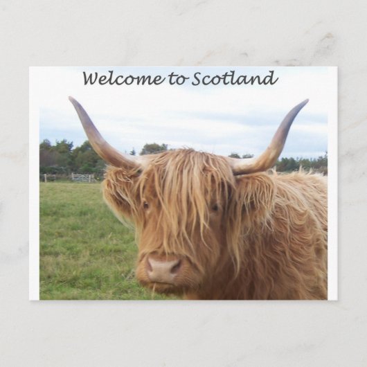 SCOTLANDPOSTCARD.jpg ポストカード (正面)